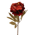 Antique red peony stem