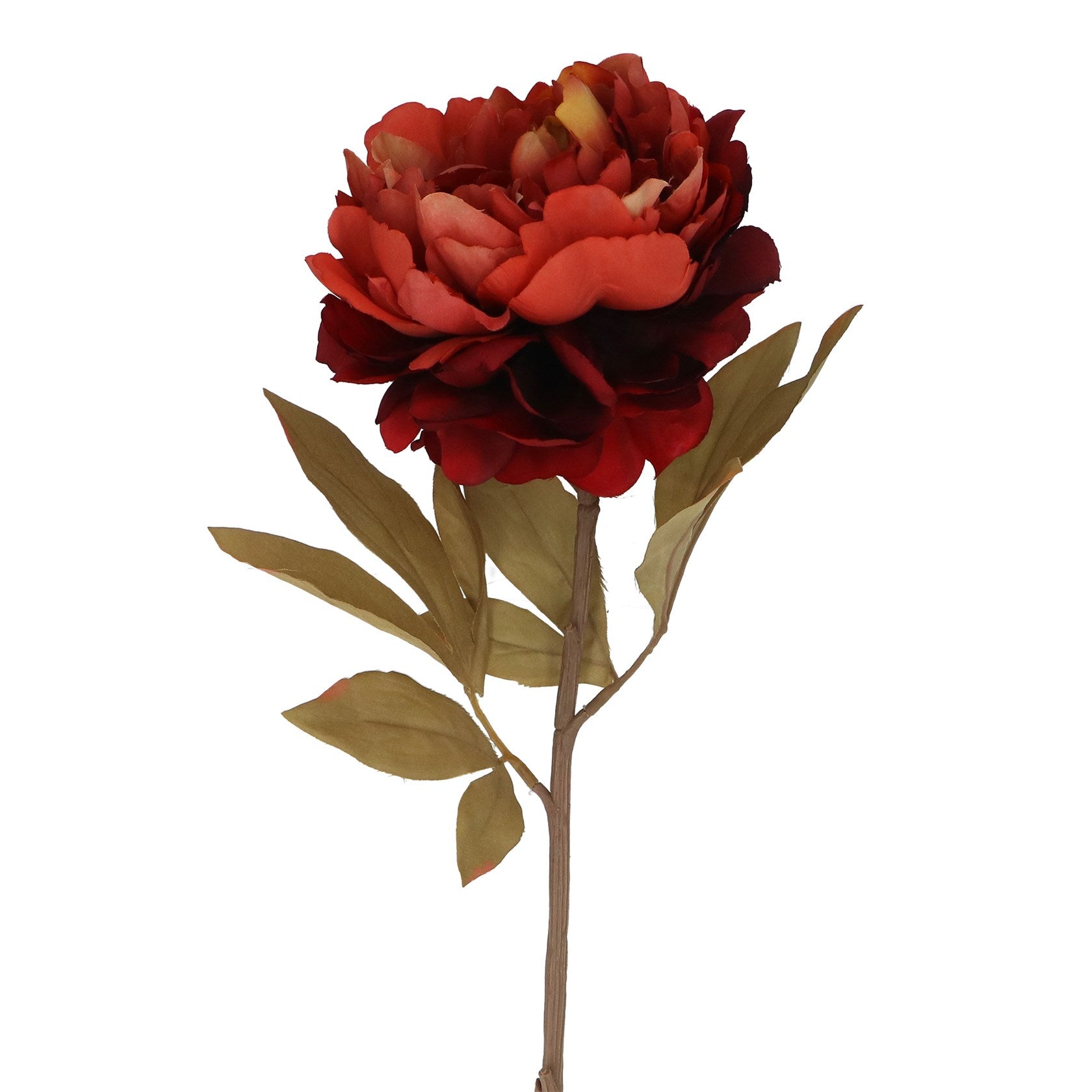Antique red peony stem