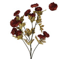 Burgundy straw flower spray