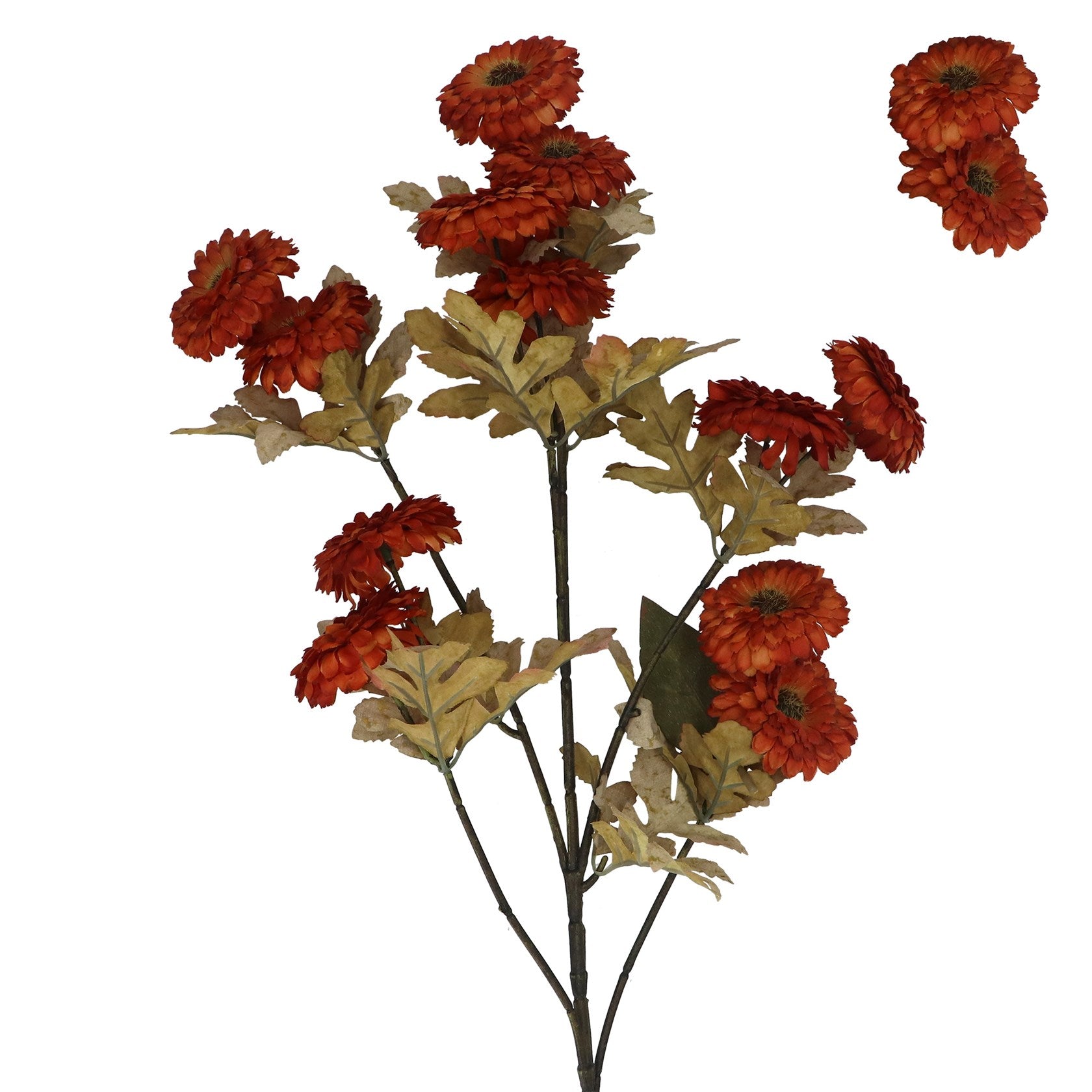 Dark orange straw flower spray