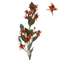 Dark orange Fuschia spray