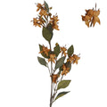 Antique yellow fuschia spray