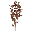 Antique chestnut eucalyptus spray