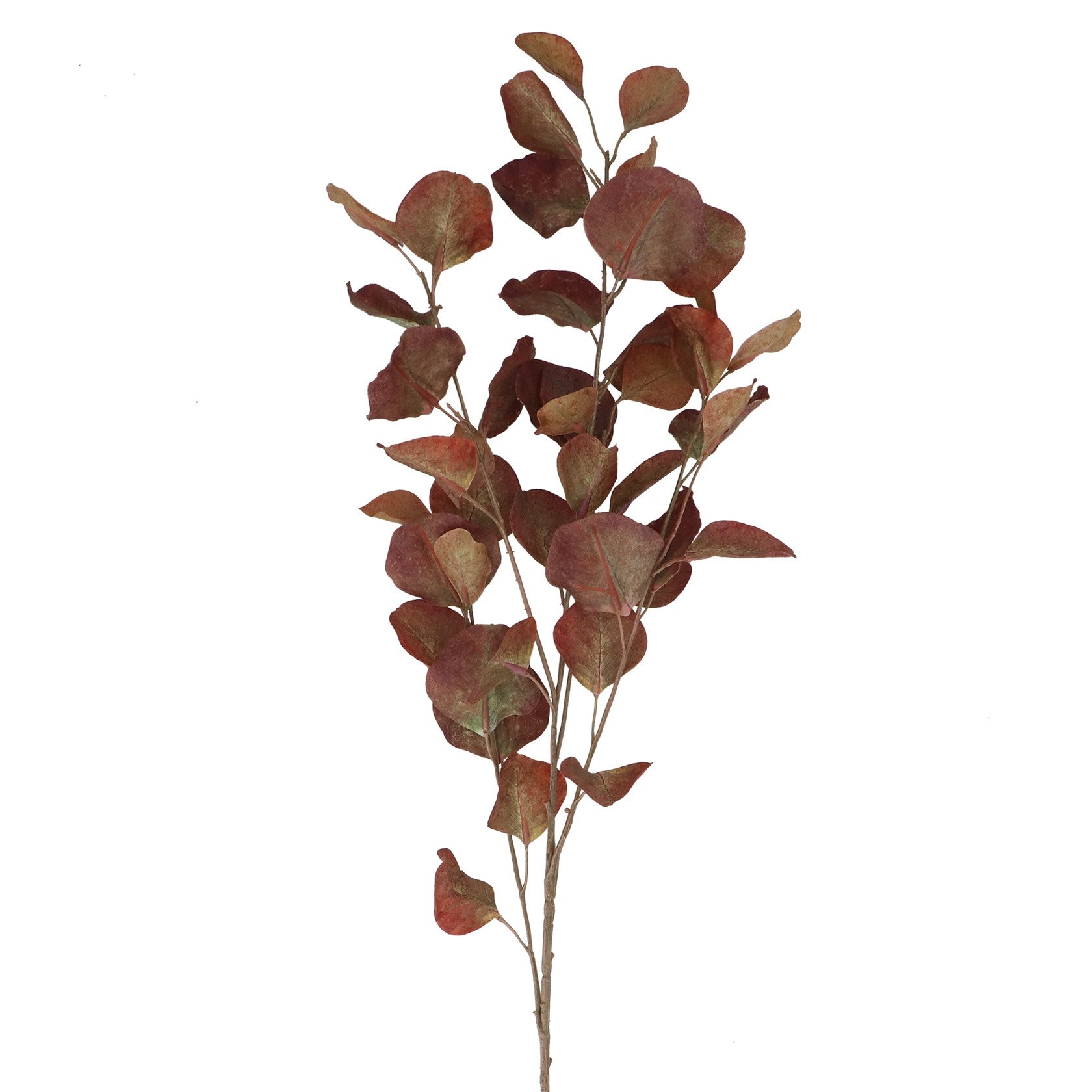 Antique chestnut eucalyptus spray