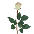 Subtle pink single rosebud stem