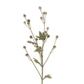 Green/cream mini Echinop spray