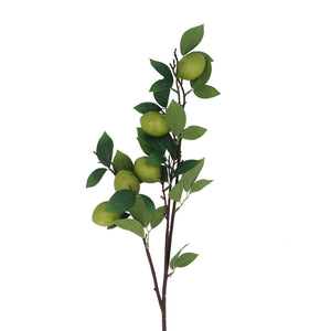 Lime Branch