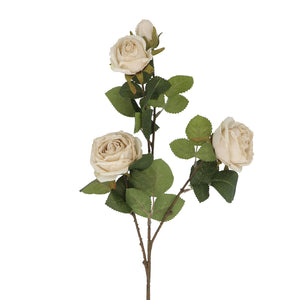 Antique cream roses spray