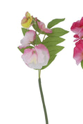 Mini sweetpea stem