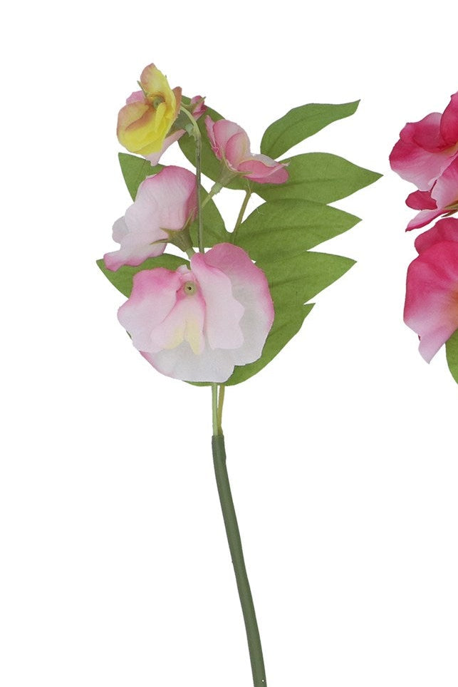 Mini sweetpea stem