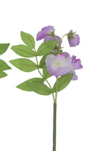 Mini sweetpea stem