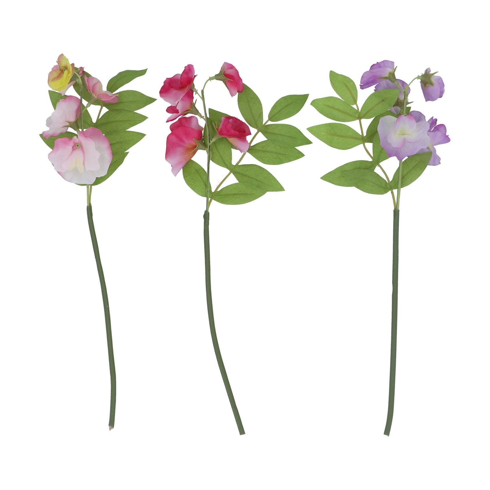 Mini sweetpea stem