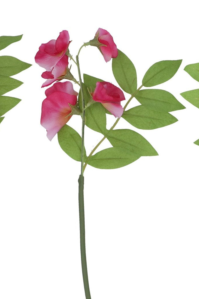 Mini sweetpea stem