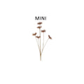 Faux Dried Mini Cow Parsley Pick