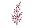 Red berry spray