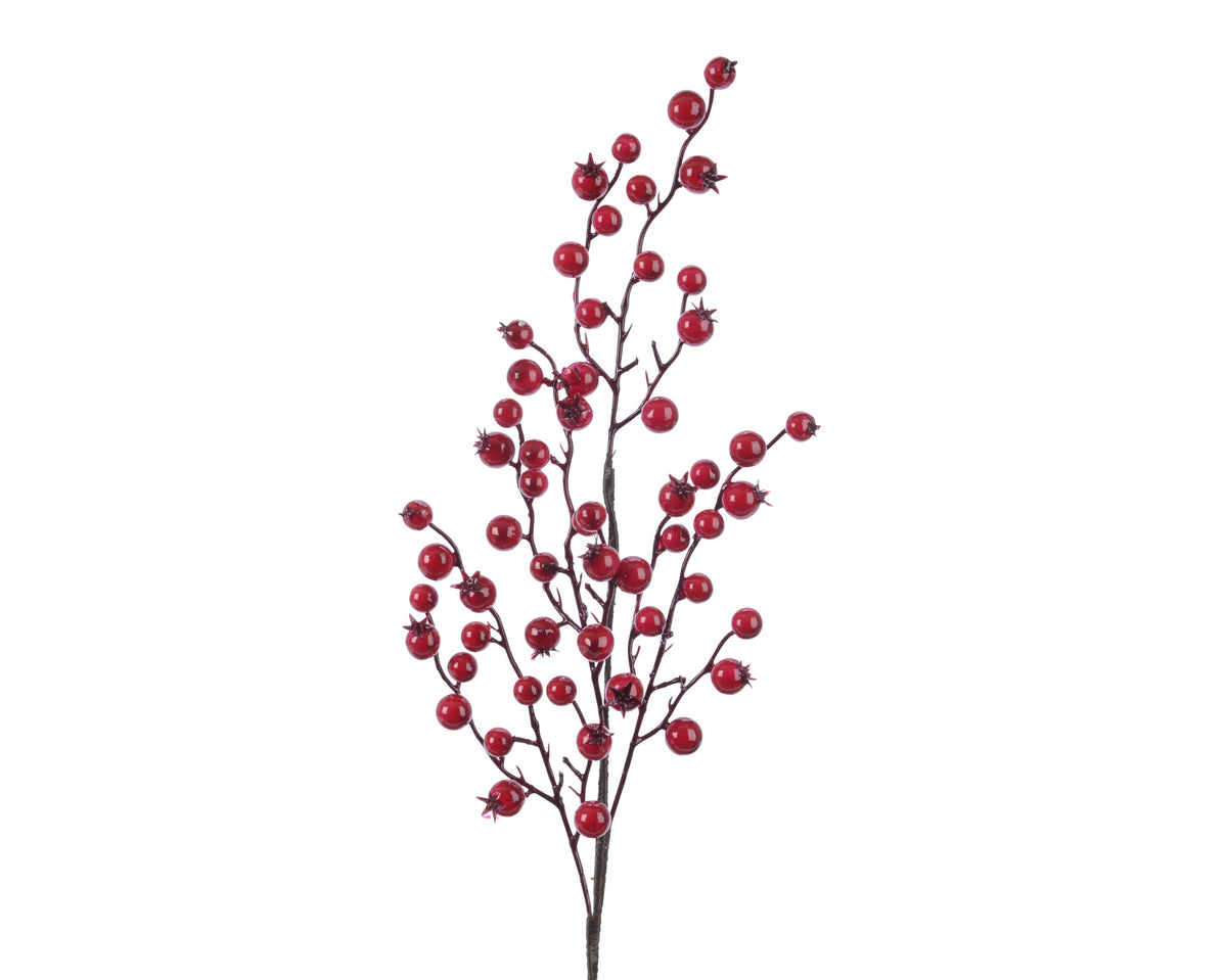 Red berry spray