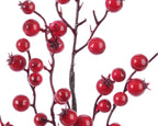 Red berry spray