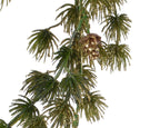 Pine cone garland