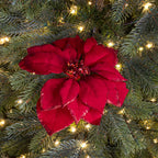 Red poinsettia clip