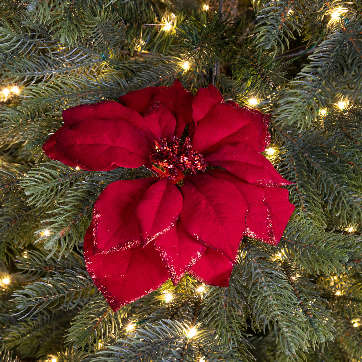 Red poinsettia clip