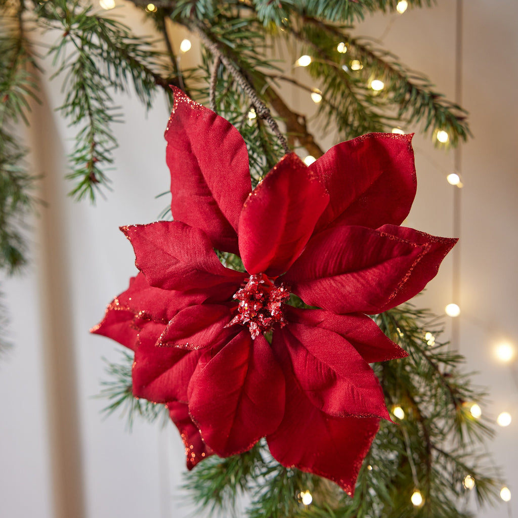Red poinsettia clip