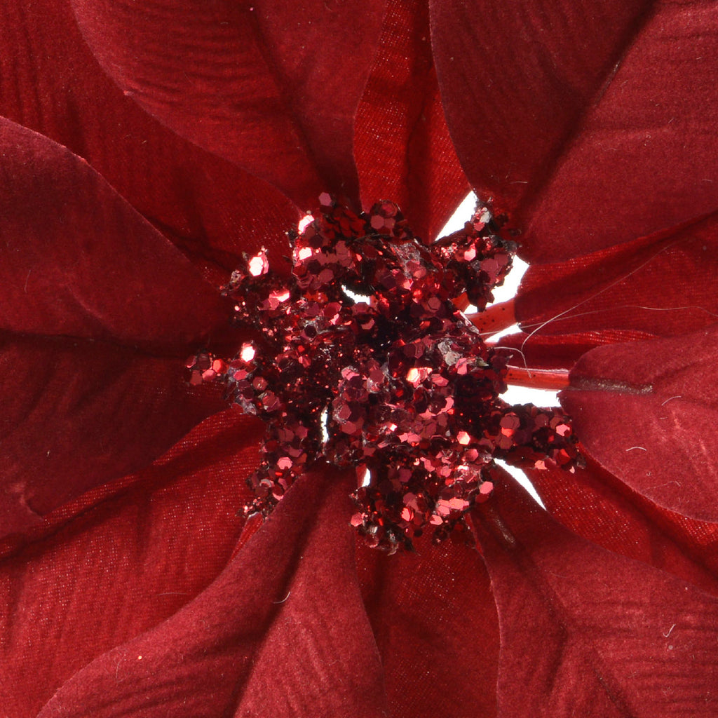 Red poinsettia clip