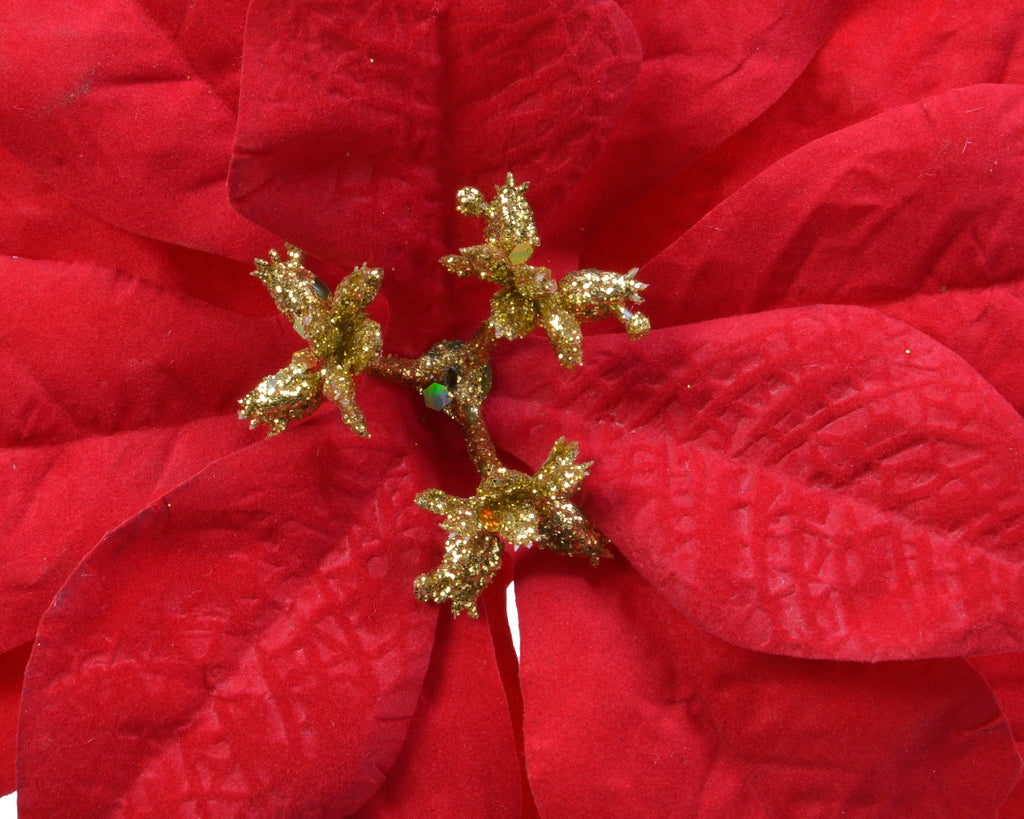 Christmas red poinsettia clip