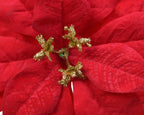 Christmas red poinsettia clip
