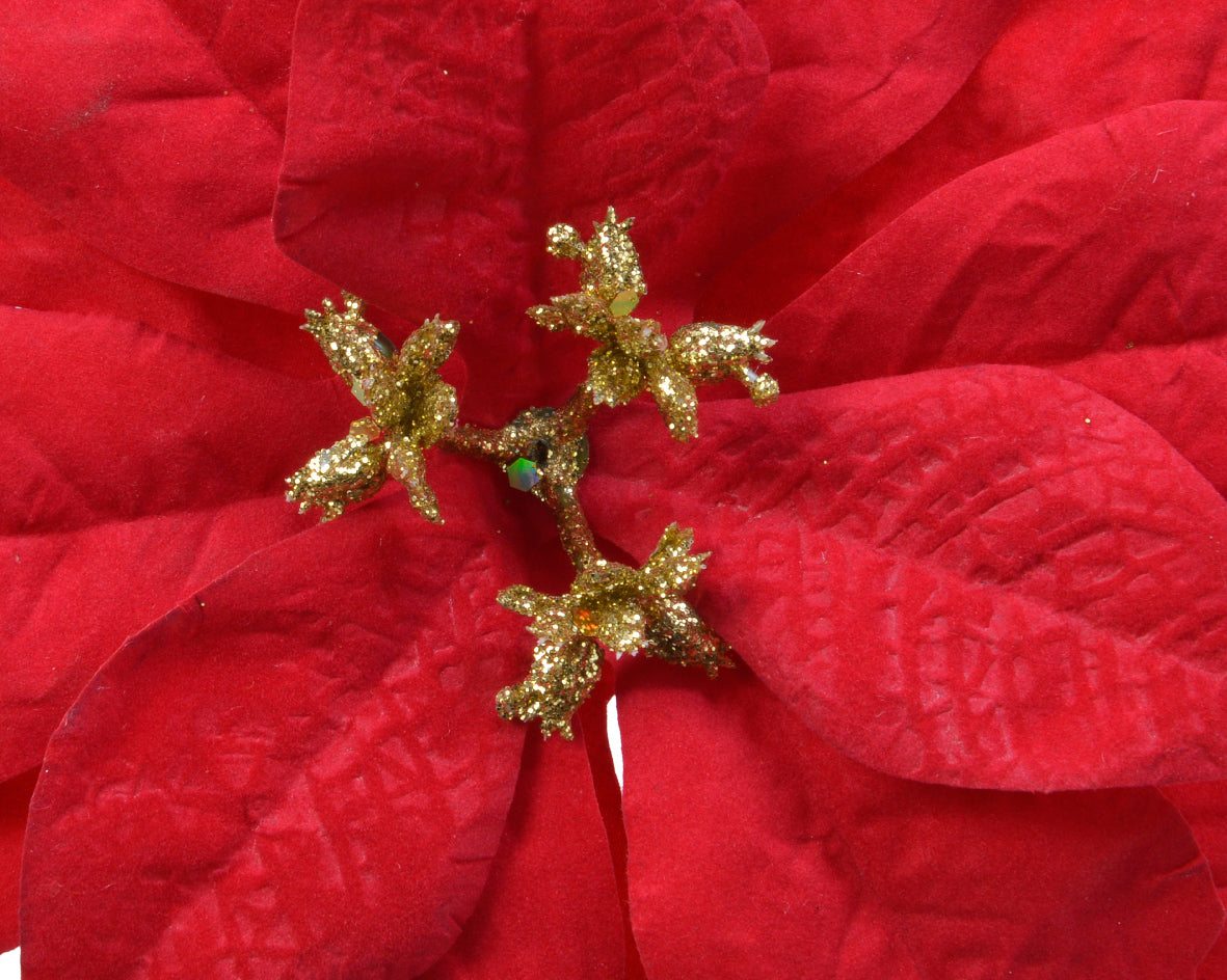 Christmas red poinsettia clip
