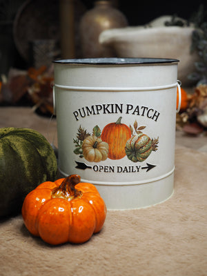 Pumpkin patch cream metal bucket