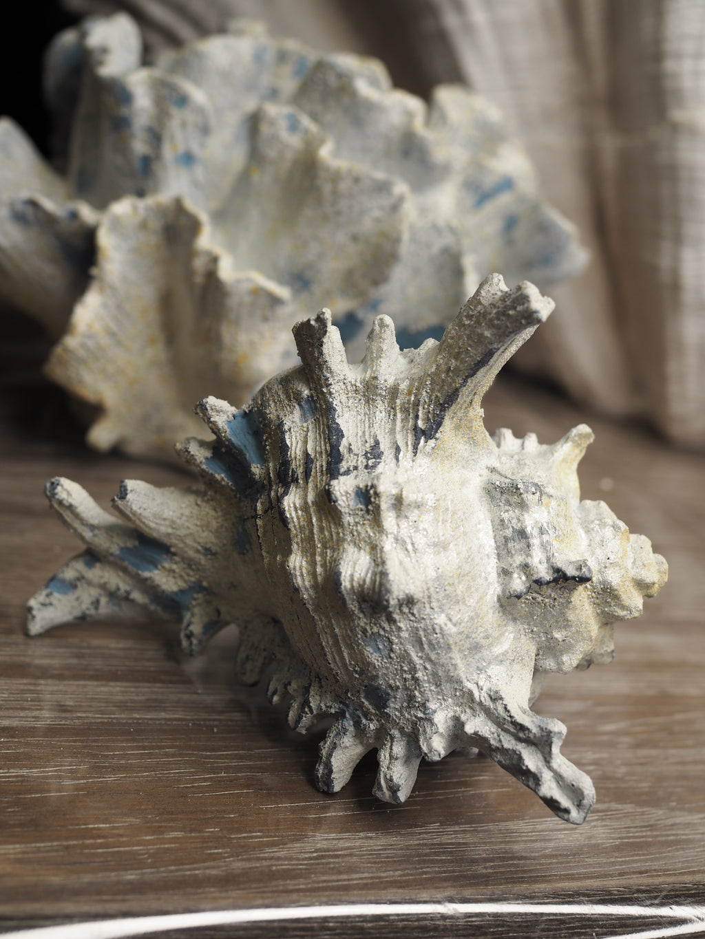 Shell ornament