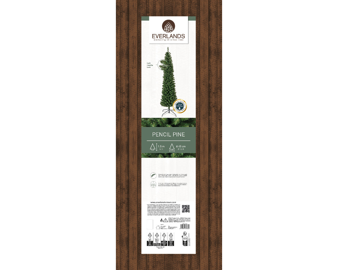 Pencil Pine 5ft