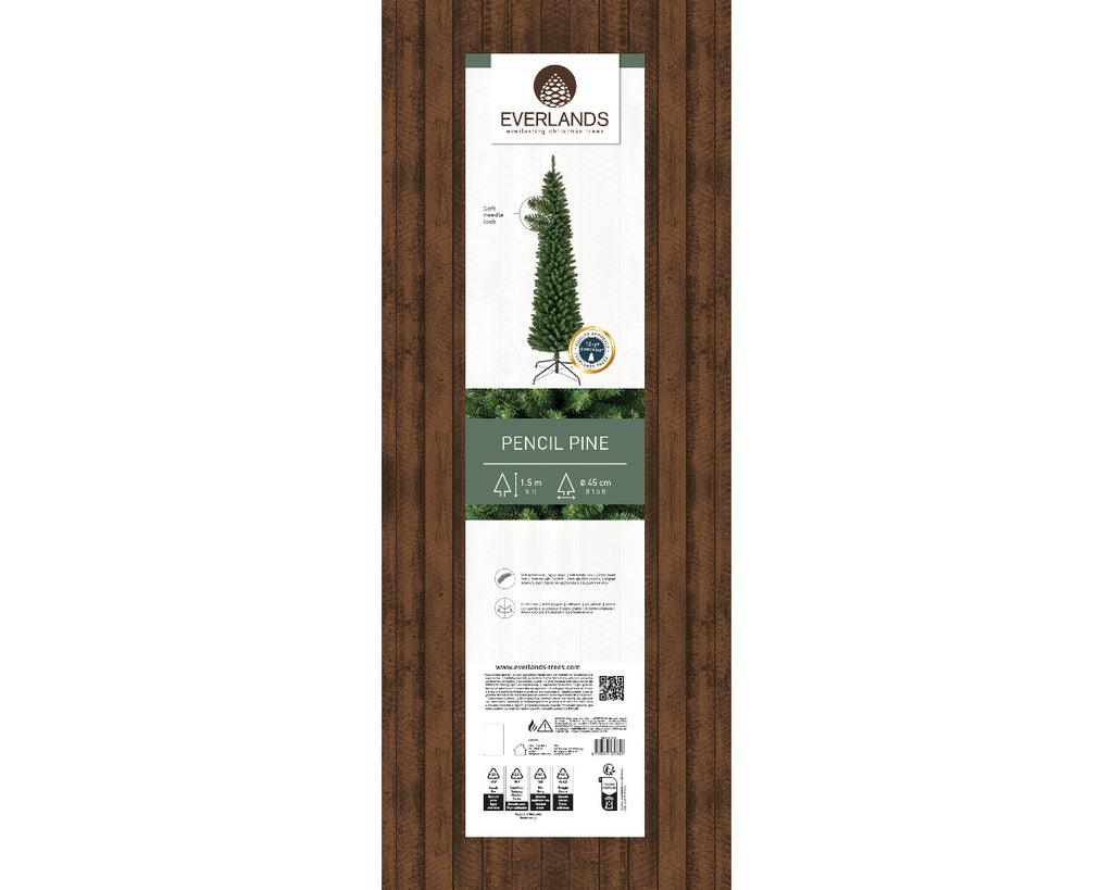 Pencil Pine 5ft