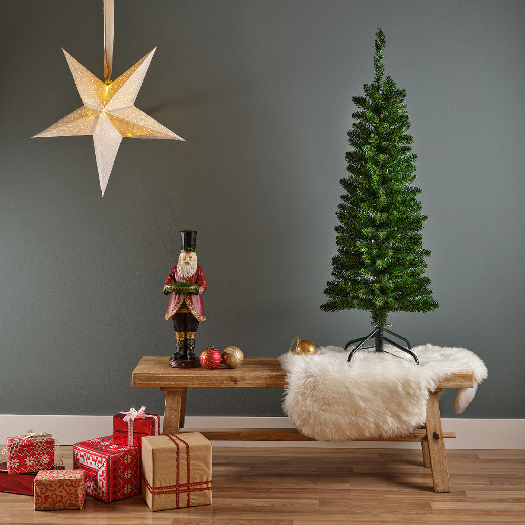 Pencil Pine 5ft