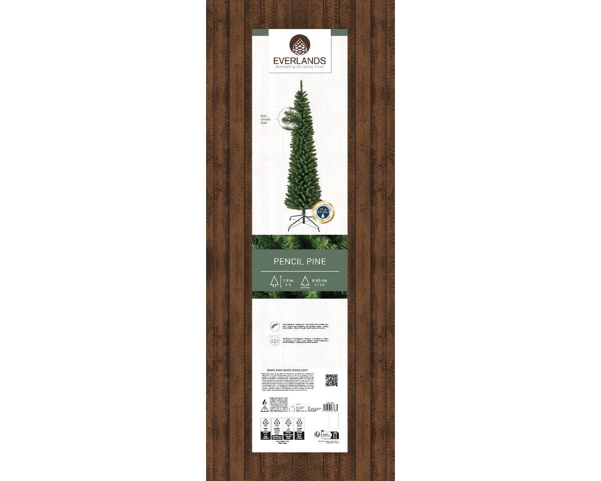 Pencil Pine 6ft