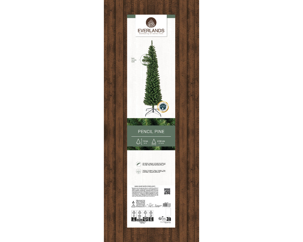 Pencil Pine 6ft
