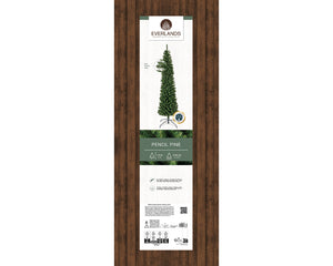 Pencil Pine 6ft