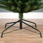 Pencil Pine 6ft