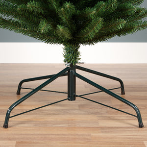 Pencil Pine 6ft