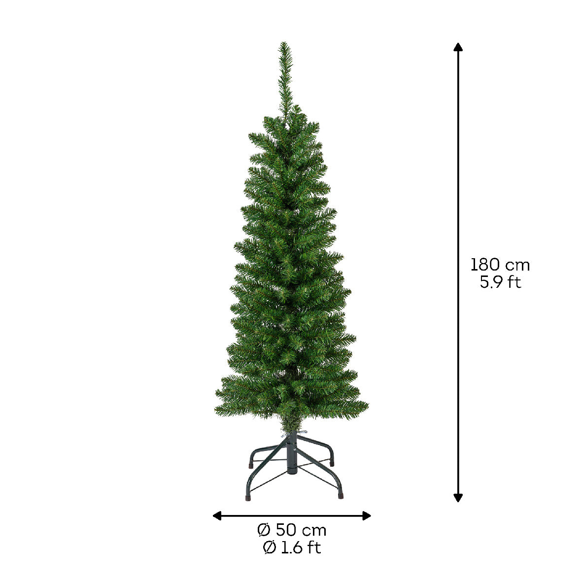 Pencil Pine 6ft
