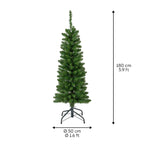 Pencil Pine 6ft