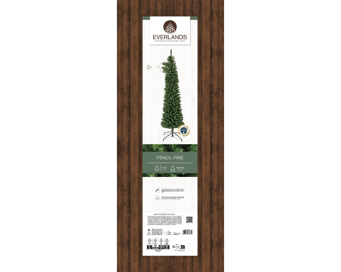 Pencil Pine 7ft