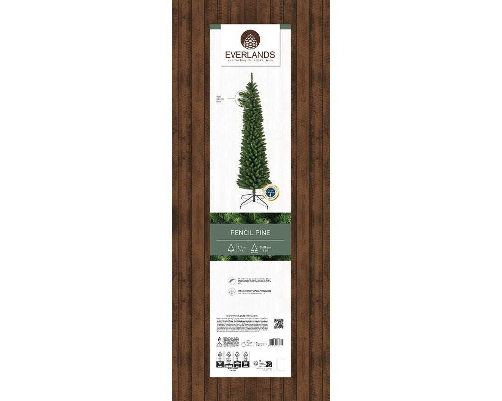 Pencil Pine 7ft