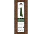 Pencil Pine 7ft
