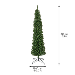 Pencil Pine 7ft