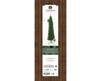 Pencil Pine 8ft