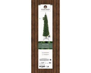 Pencil Pine 8ft