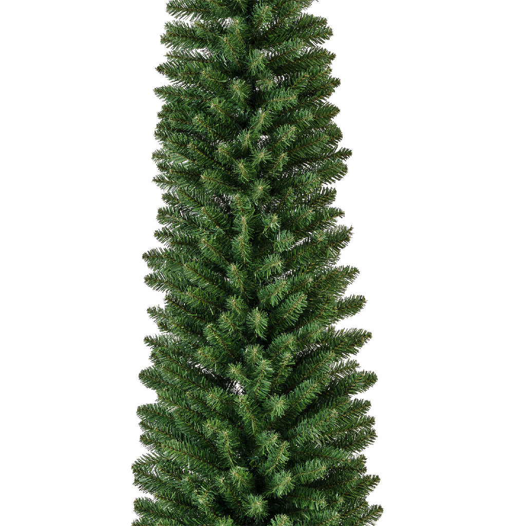 Pencil Pine 7ft