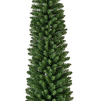Pencil Pine 7ft