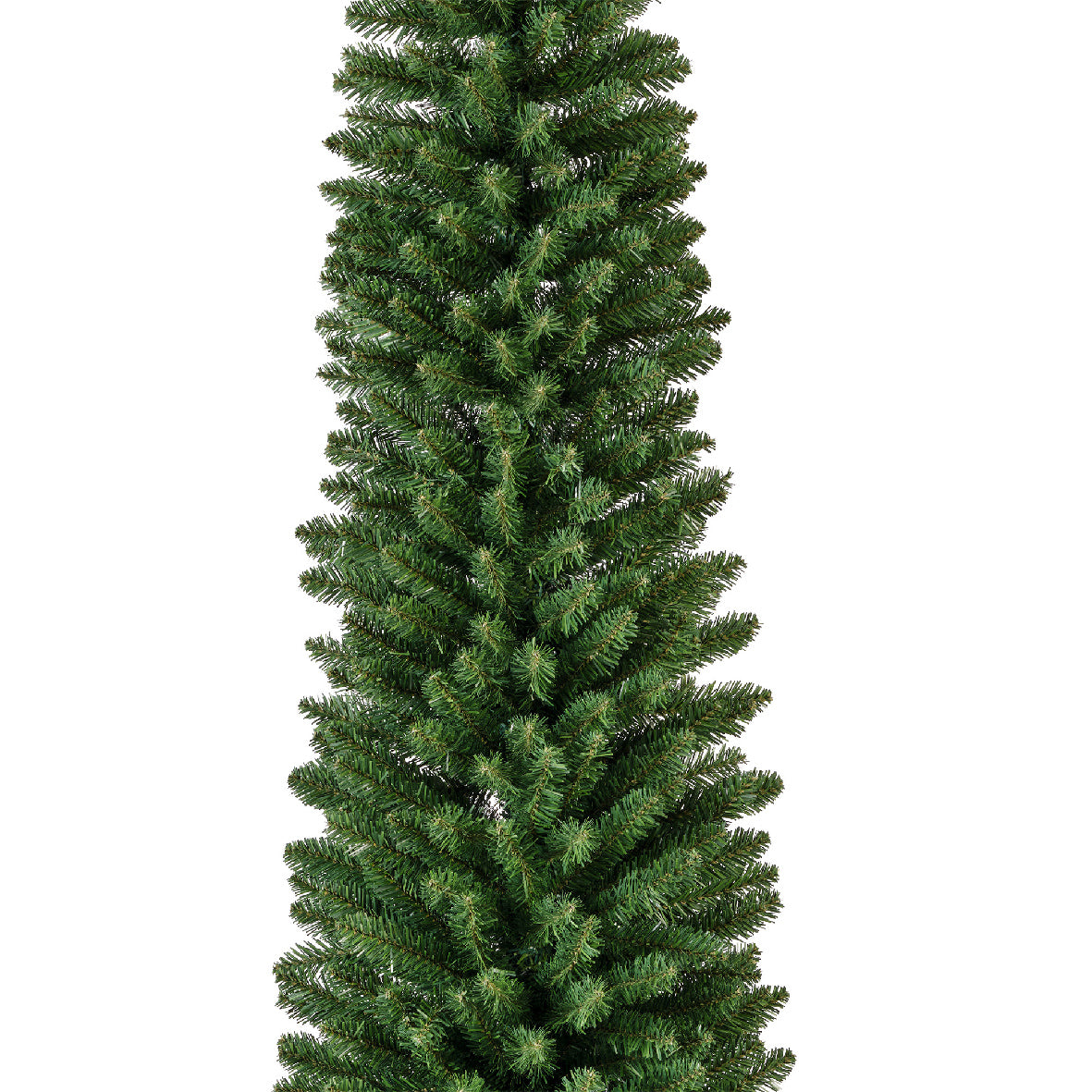 Pencil Pine 7ft